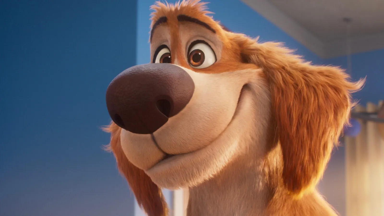 Charlie the Wonderdog streaming ita