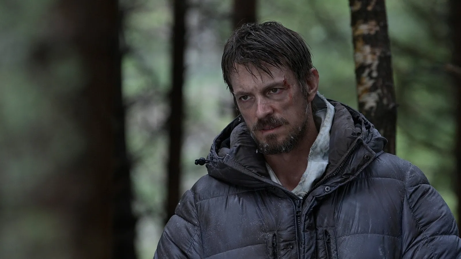 Icefall - Caccia sul ghiaccio streaming ita