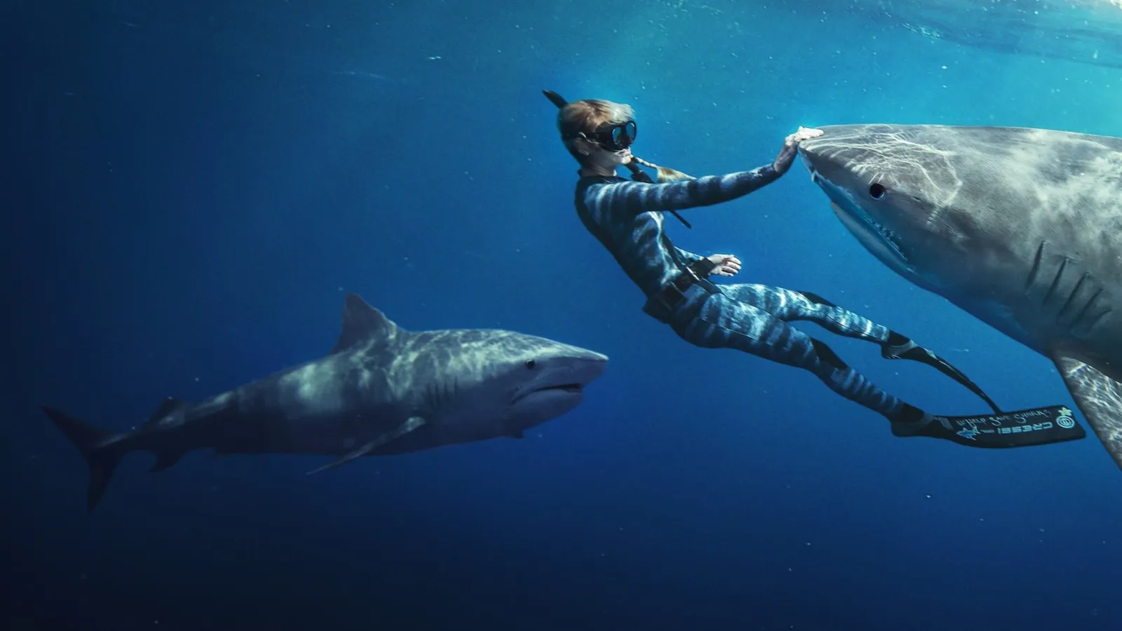 Shark Whisperer: Nuotando con gli squali streaming ita