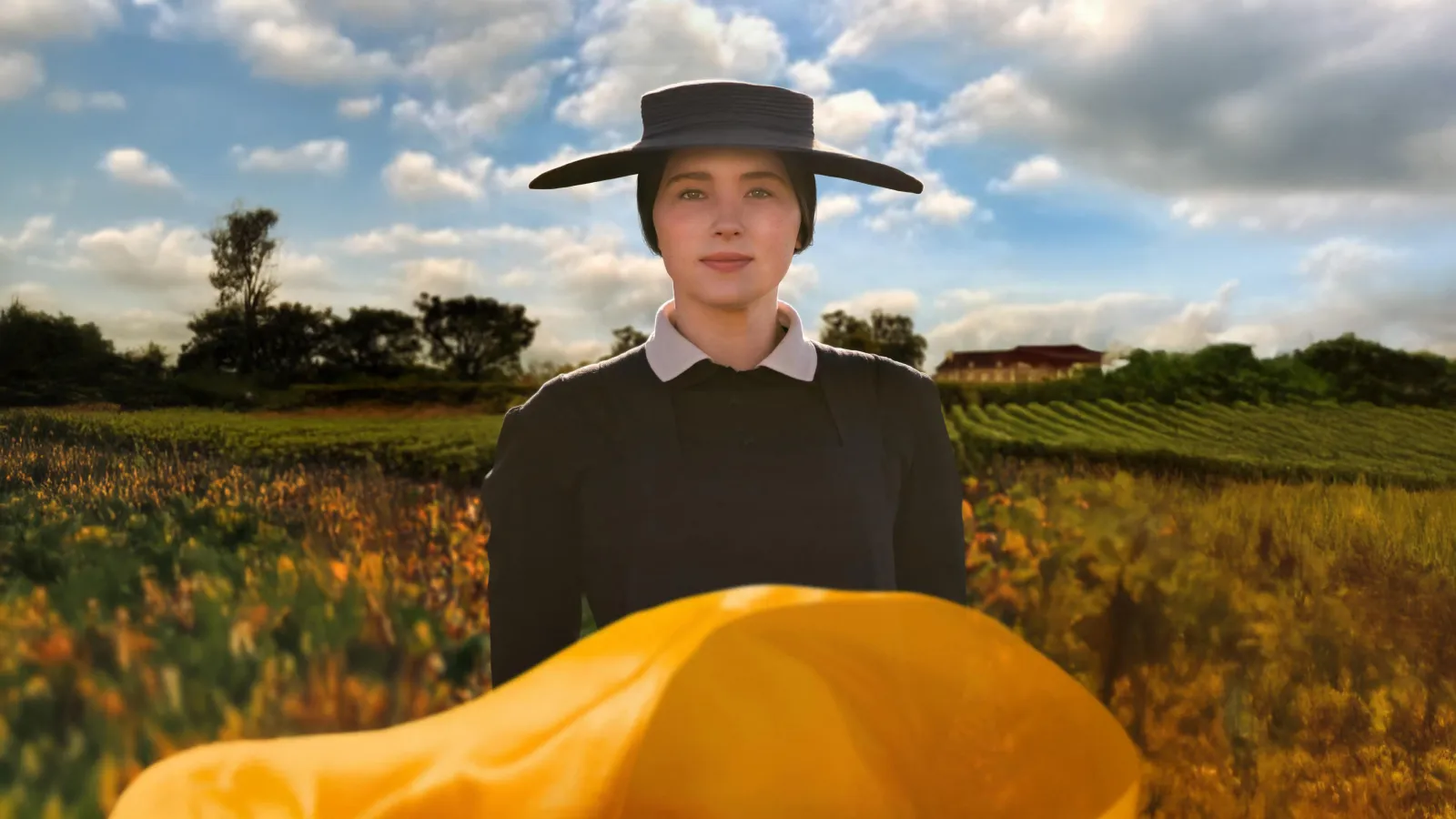 Madame Clicquot streaming ita