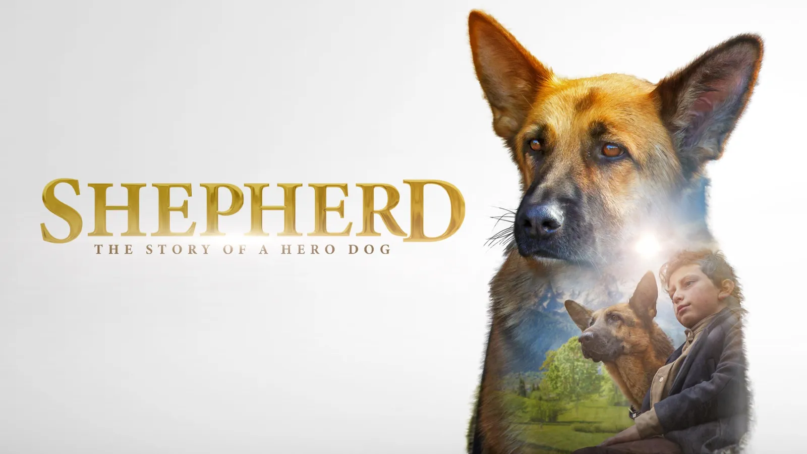 Zack, cane eroe streaming ita