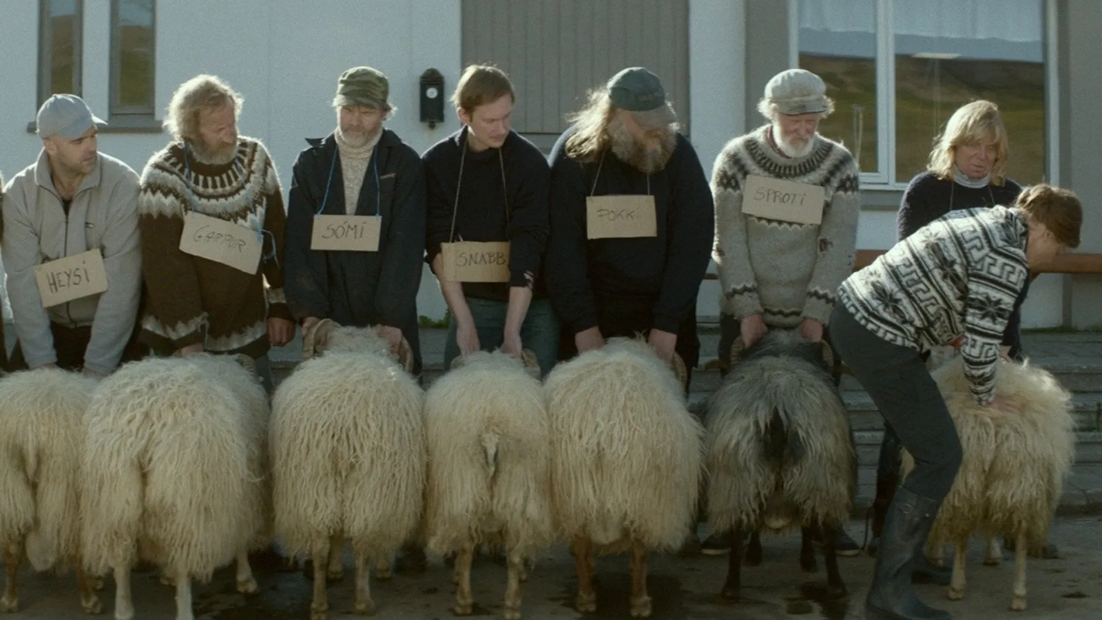 Rams - Storia di due fratelli e otto pecore streaming ita