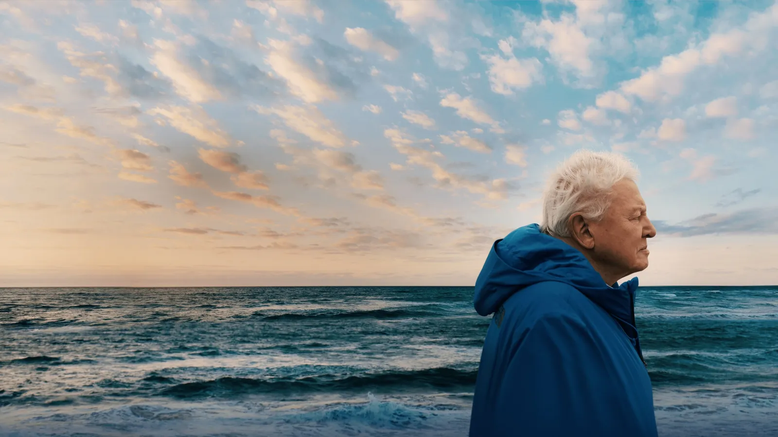 I Segreti Dell’oceano con David Attenborough streaming ita