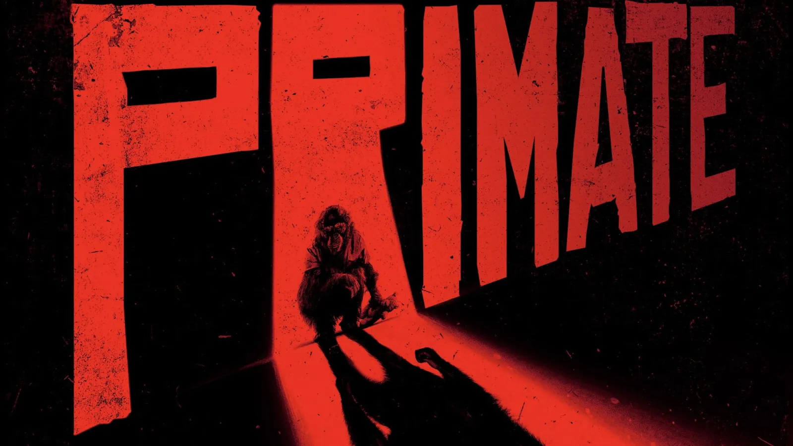 Ben - Rabbia animale streaming ita