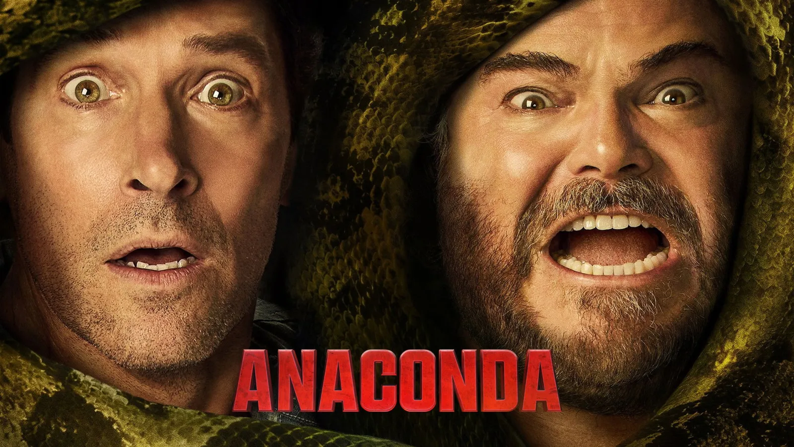 Anaconda streaming ita