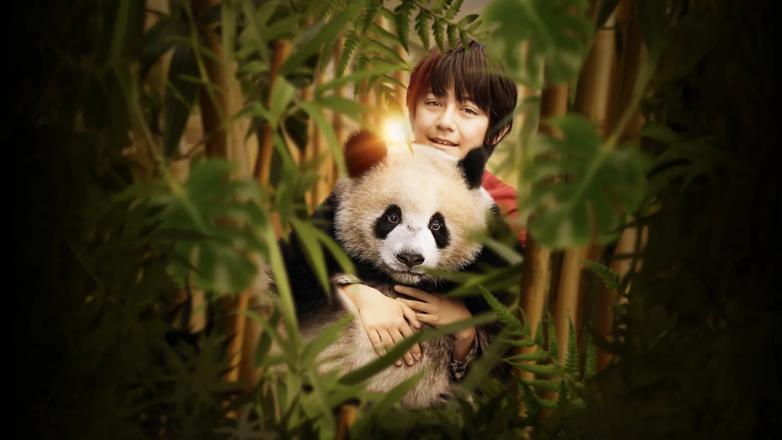 Moon il panda streaming ita