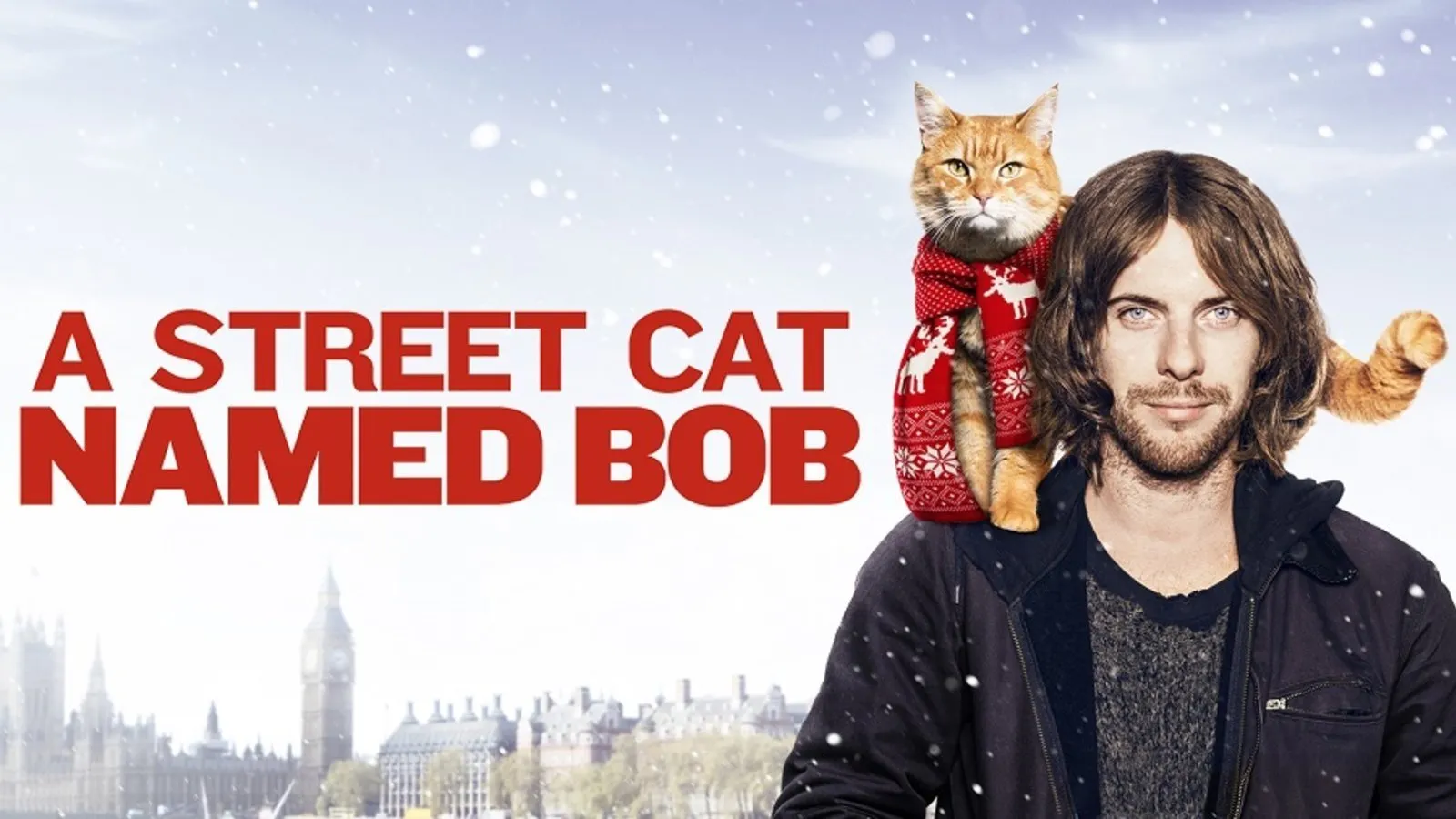 A spasso con Bob streaming ita