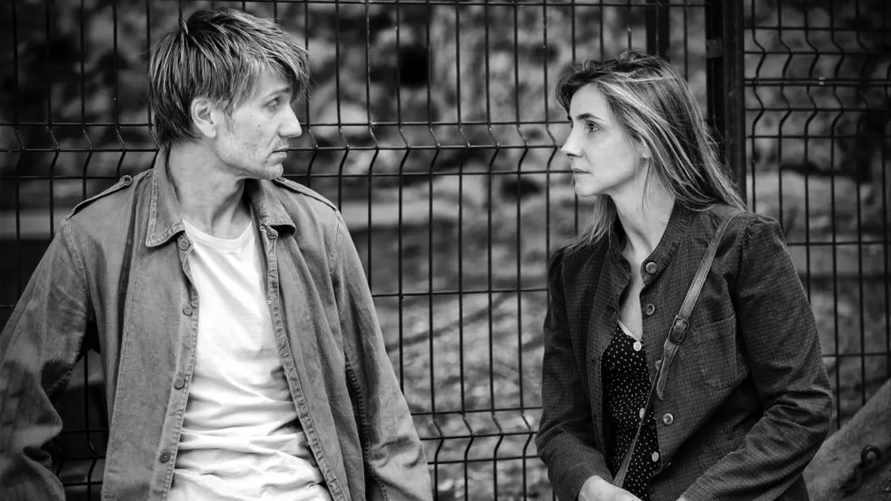 All'ombra delle donne streaming ita