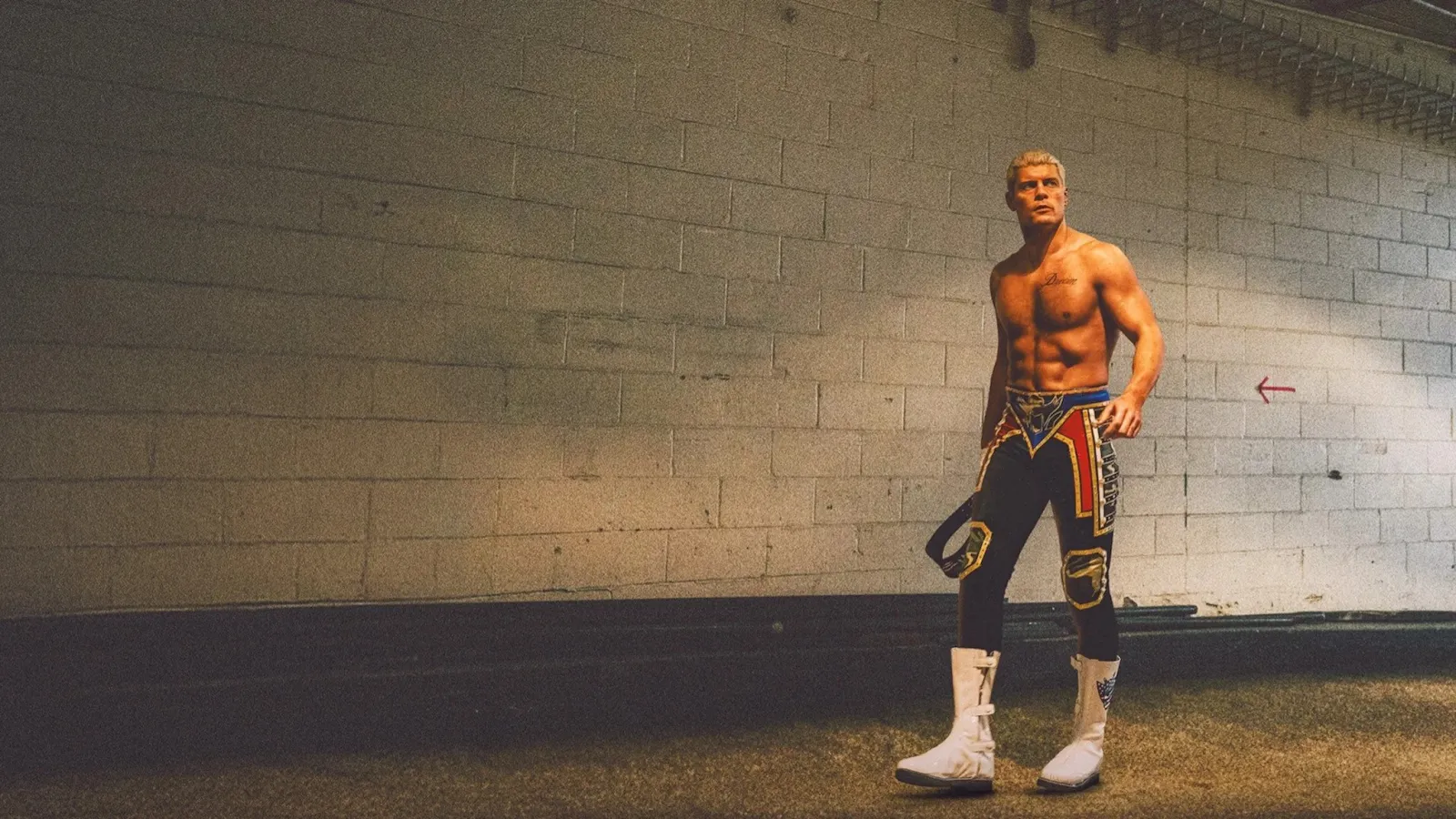 WWE: la storia dietro le quinte streaming ita