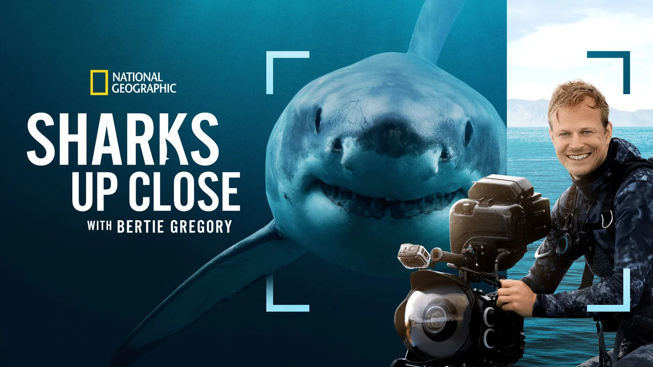 Sharks Up Close with Bertie Gregory streaming ita