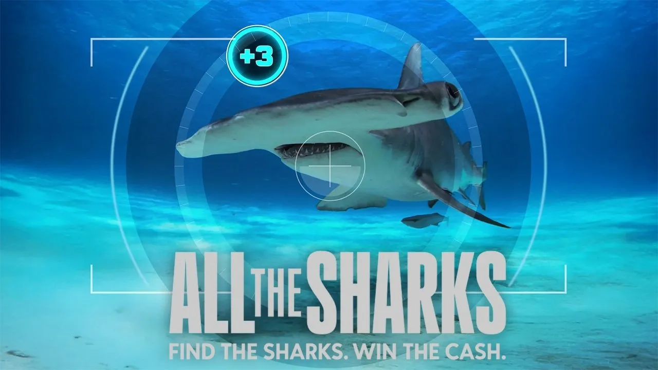All the Sharks - In cerca di squali streaming ita