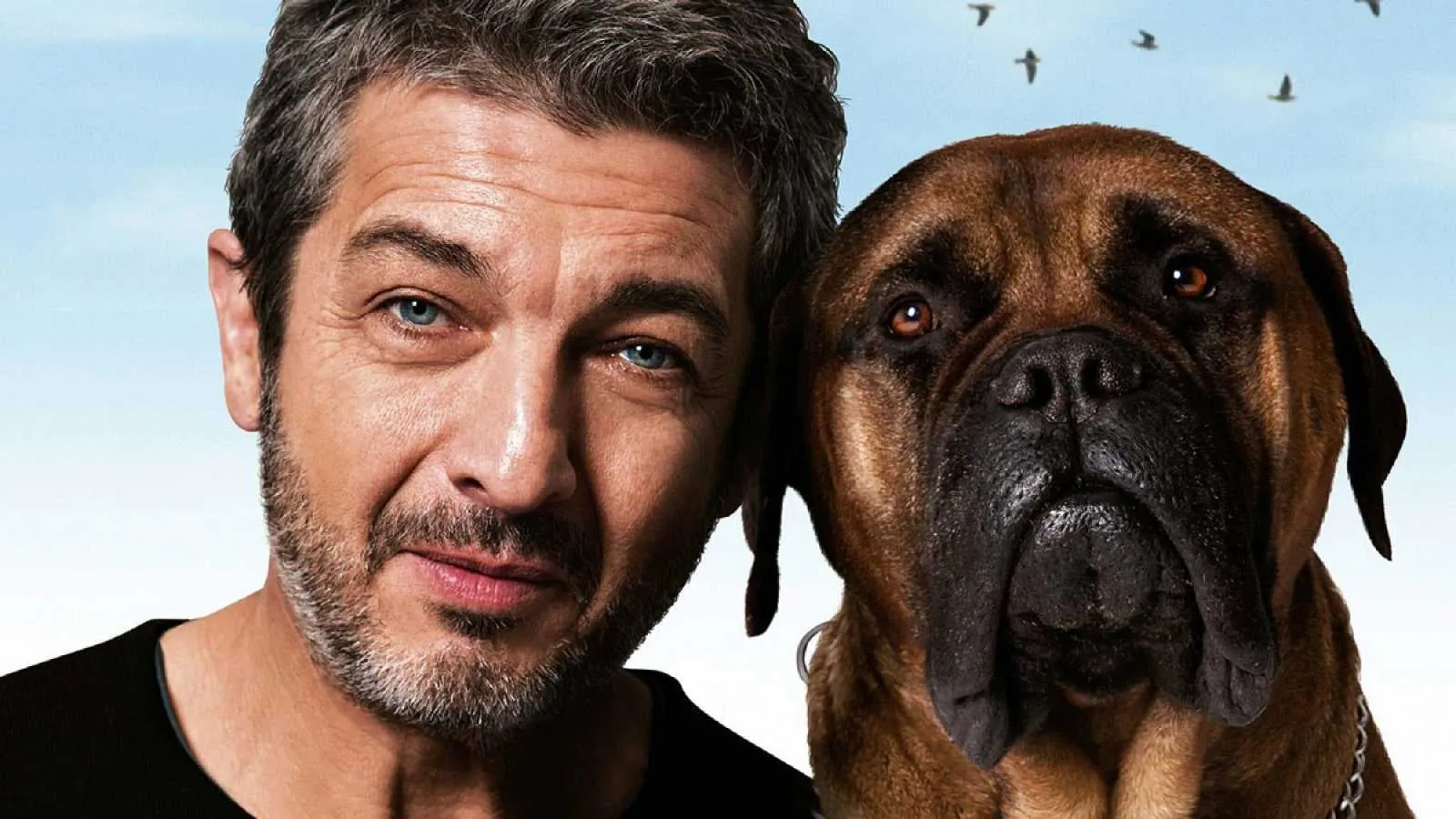 Truman - Un vero amico è per sempre streaming ita