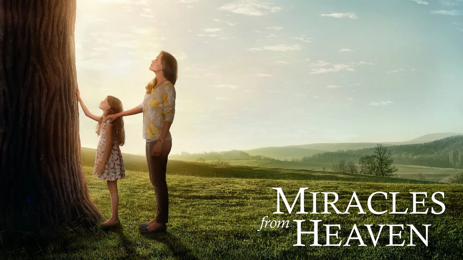 Miracoli dal cielo streaming ita