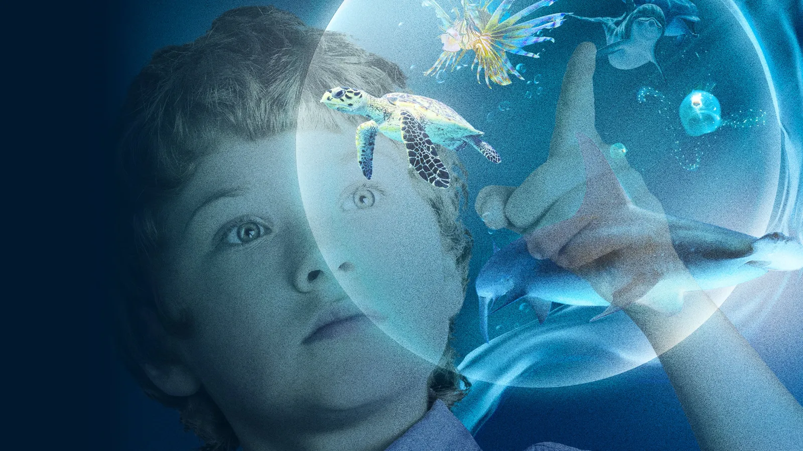 Le meraviglie del mare streaming ita