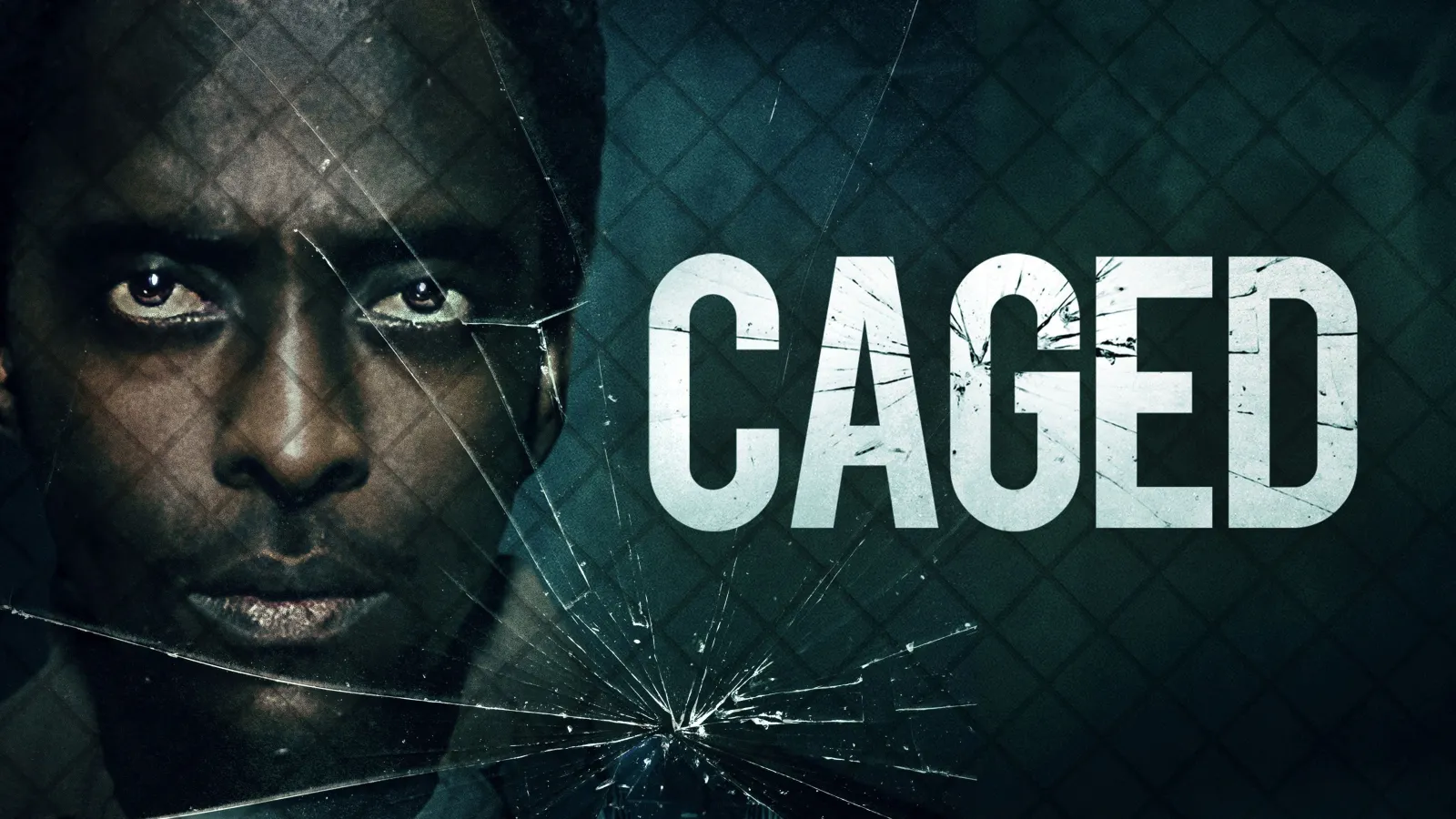 Caged streaming ita