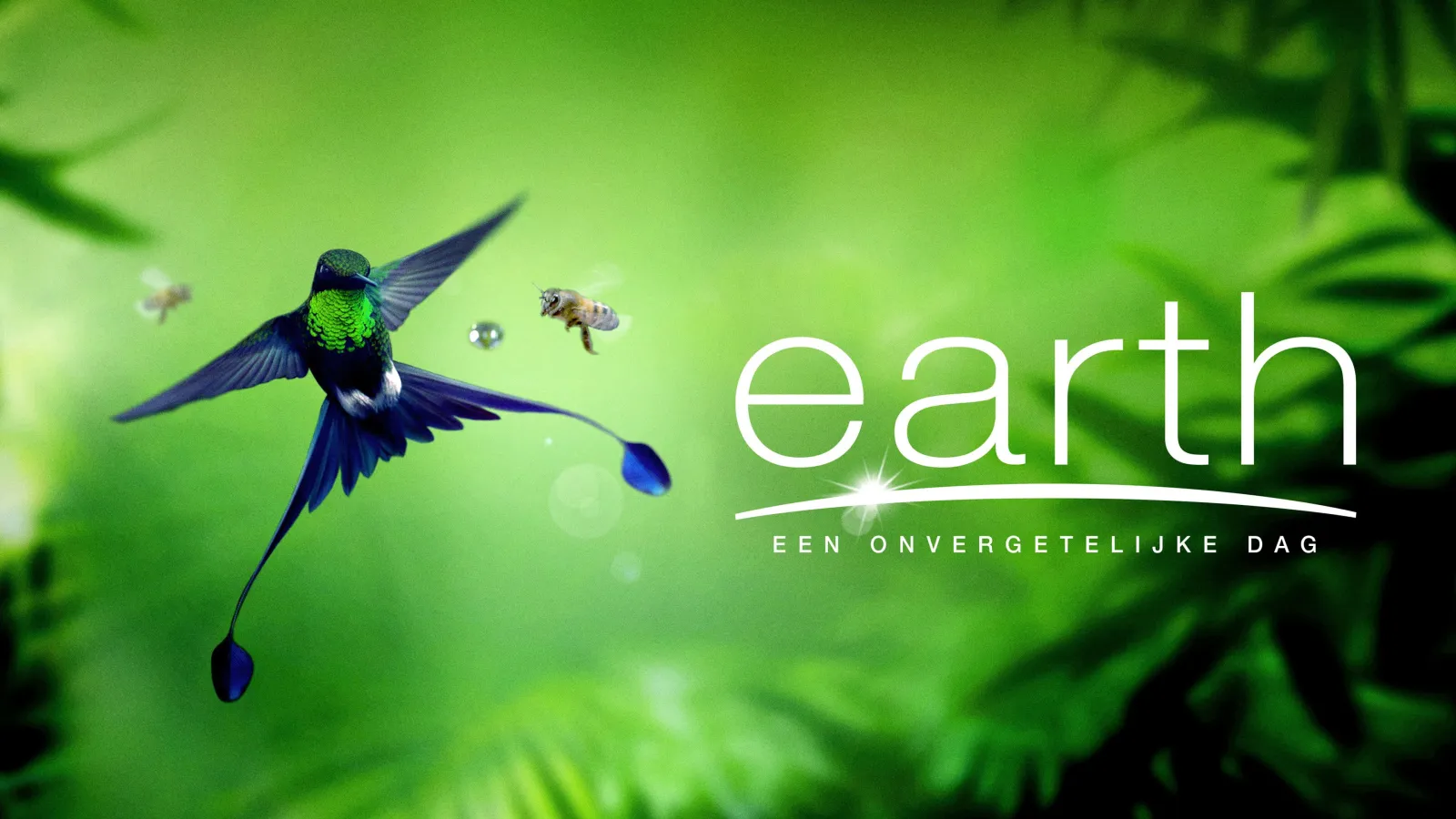 Earth - Un giorno straordinario streaming ita
