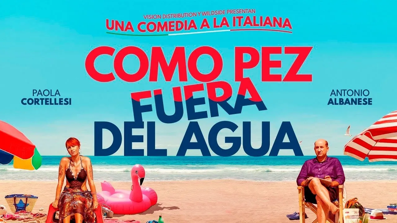 Come un gatto in tangenziale streaming ita
