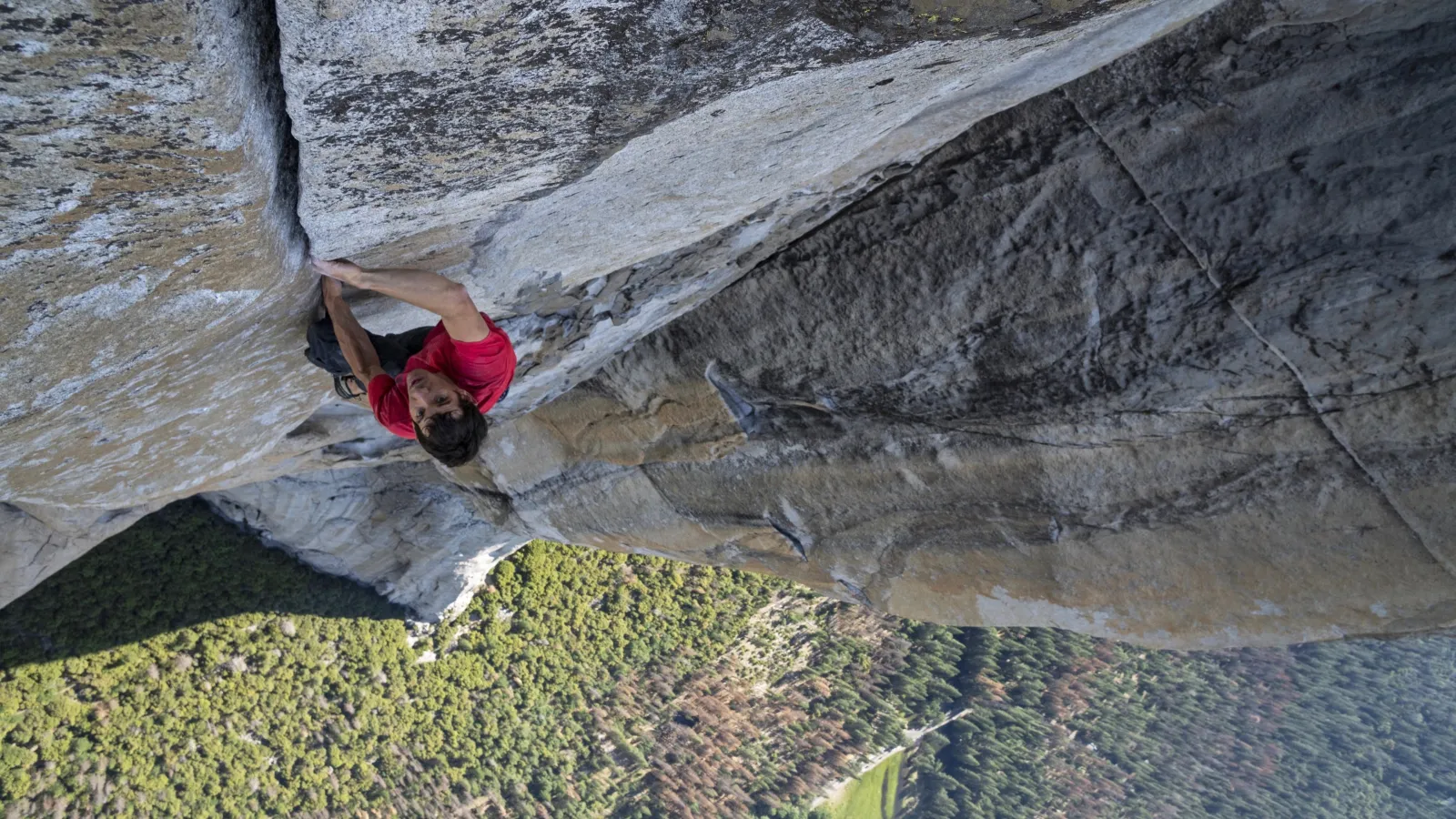 Free Solo streaming ita