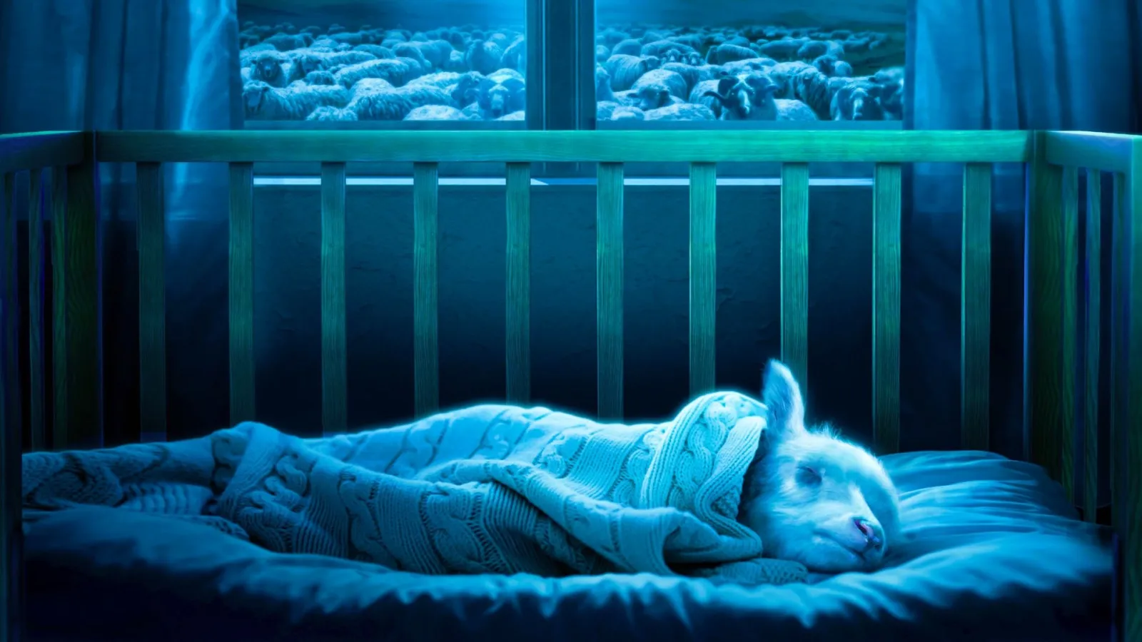 Lamb streaming ita