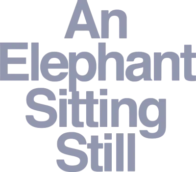 An Elephant Sitting Still