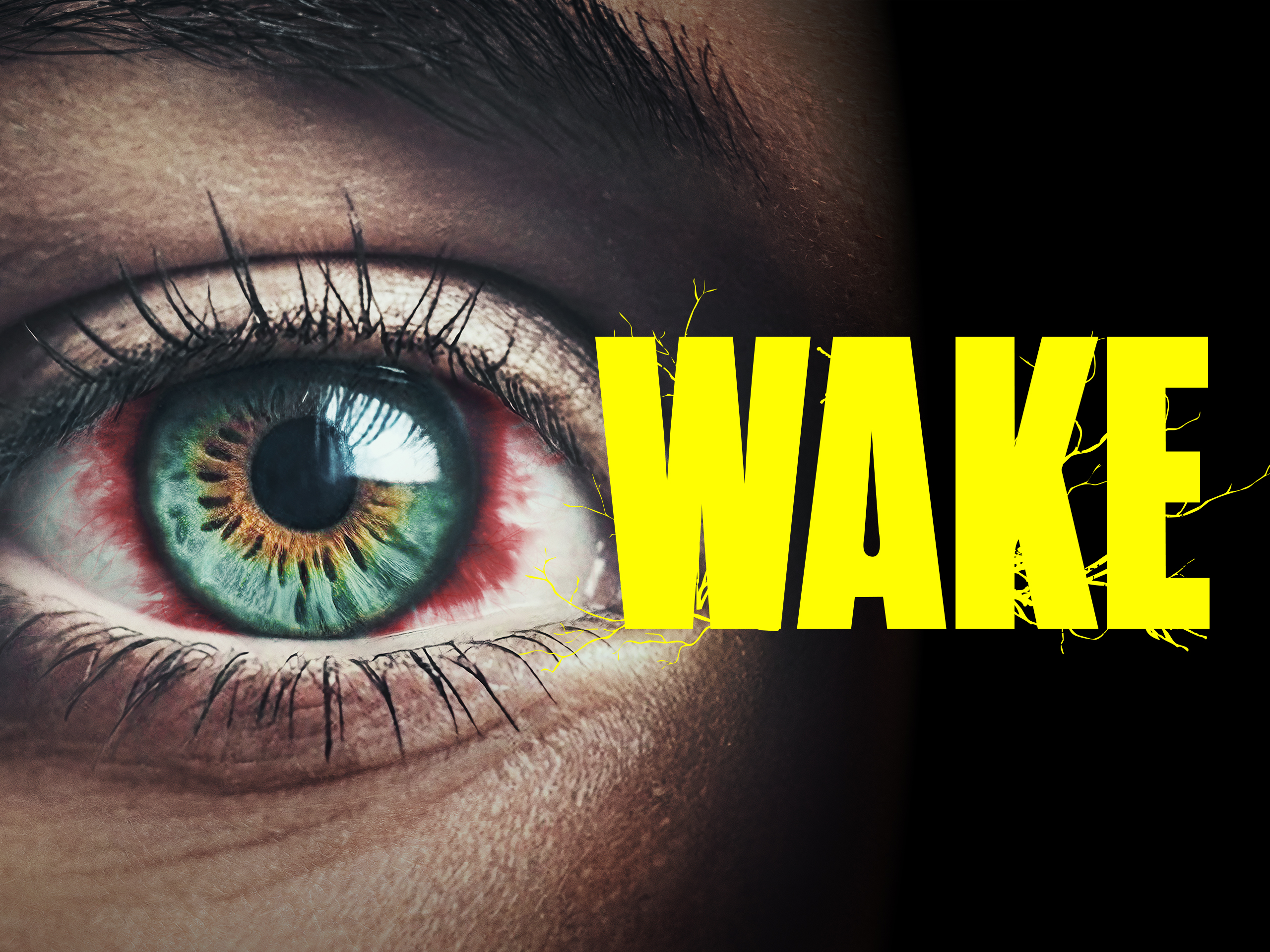 Wake - La Veglia streaming ita